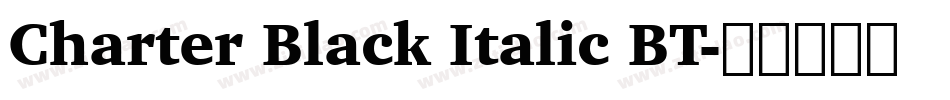 Charter Black Italic BT字体转换